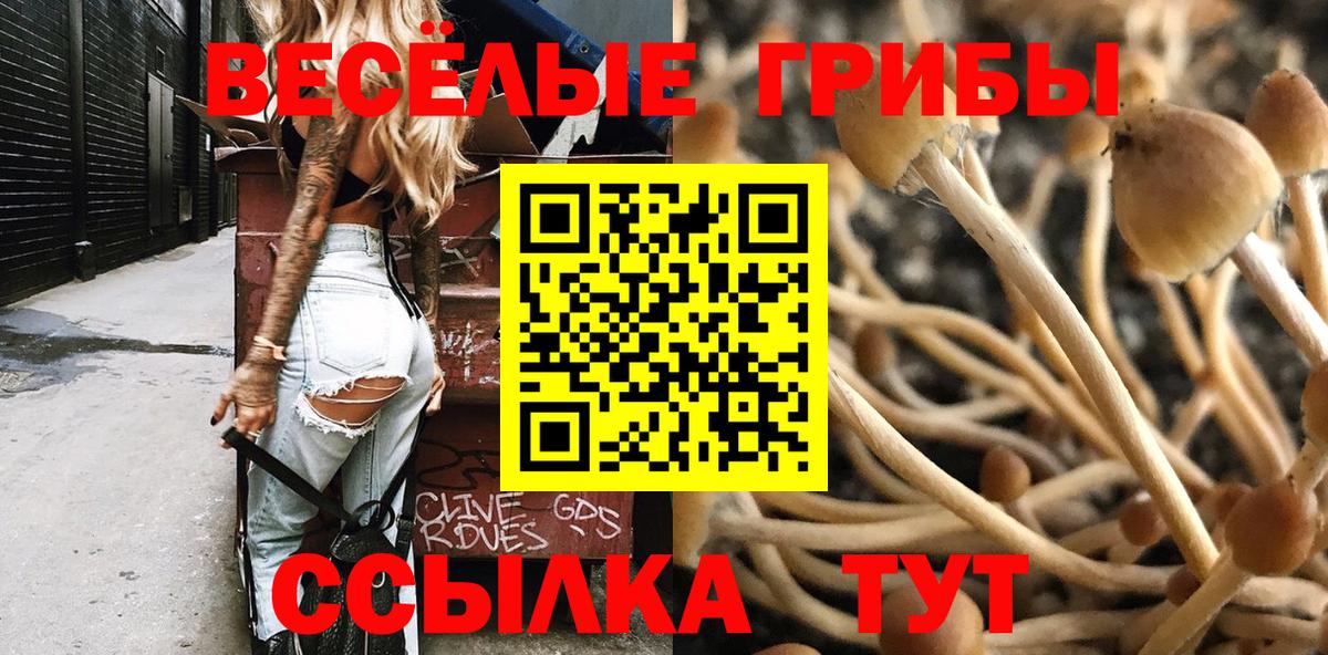 Ленинск-Кузнецкий  Галлюциногенные грибы GOLDEN TEACHER  Вход с VPN 