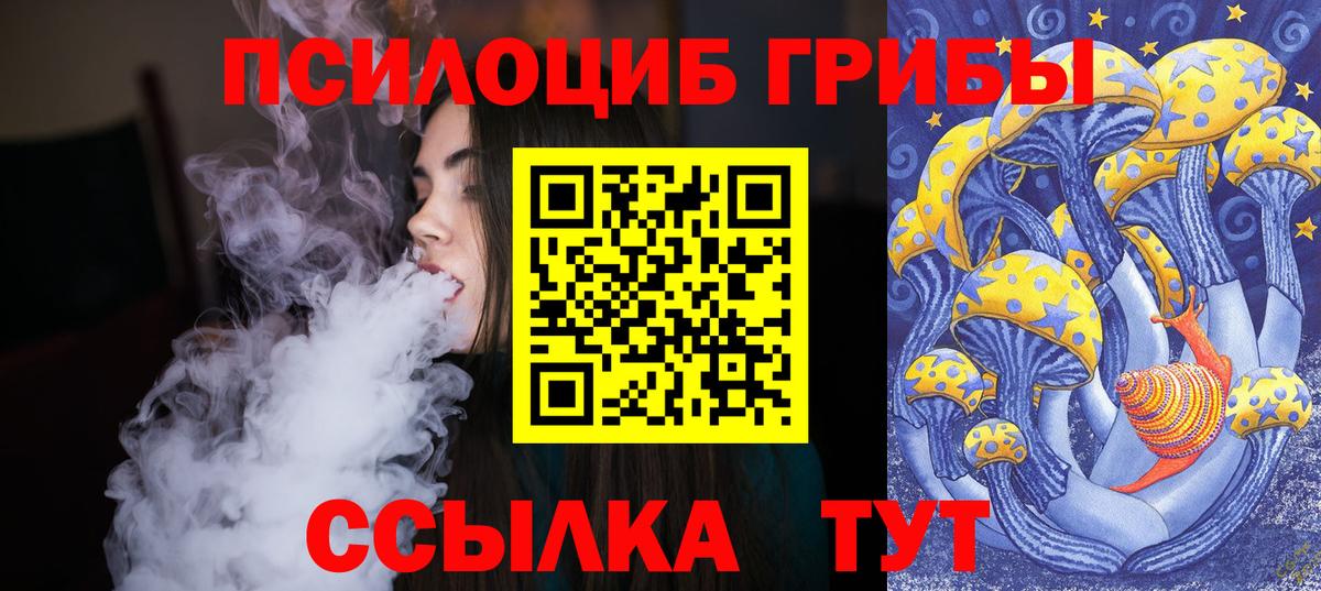 Псилоцибиновые грибы Psilocybine cubensis Ленинск-Кузнецкий